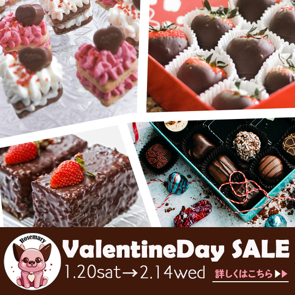 WEBバナー600×600